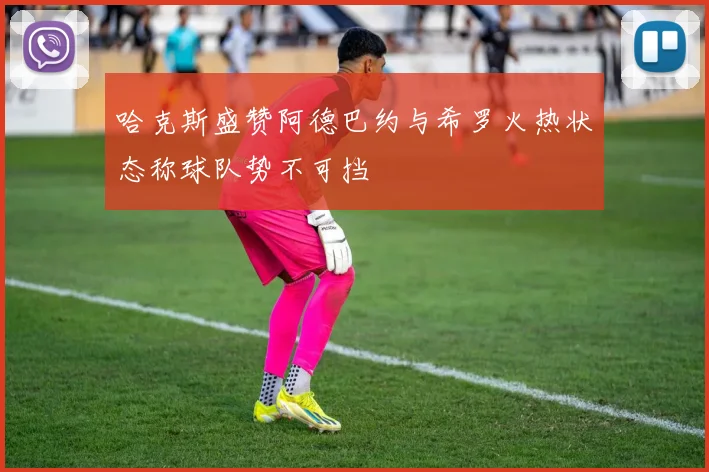 哈克斯盛赞阿德巴约与希罗火热状态称球队势不可挡