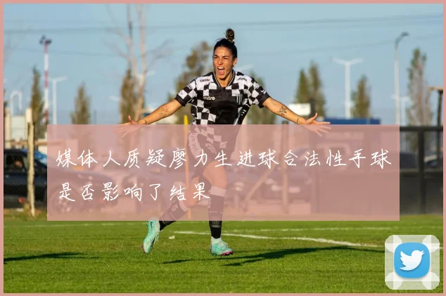 媒体人质疑廖力生进球合法性手球是否影响了结果
